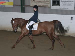 20080406_121936 Catrin Lindh Tiphonia